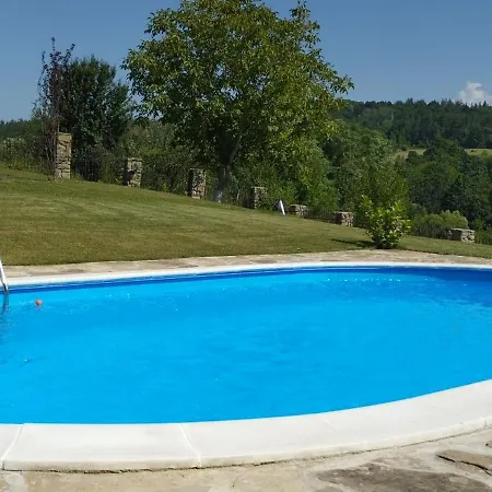 Villa бор и шишарка