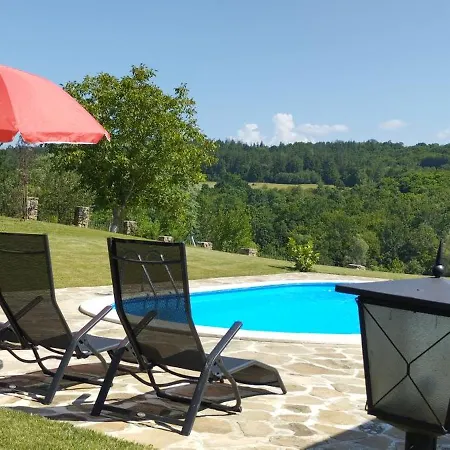 Villa бор и шишарка