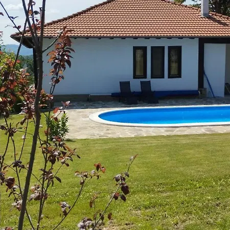 бор и шишарка Луксозна вила *