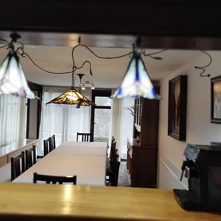 бор и шишарка Villa *