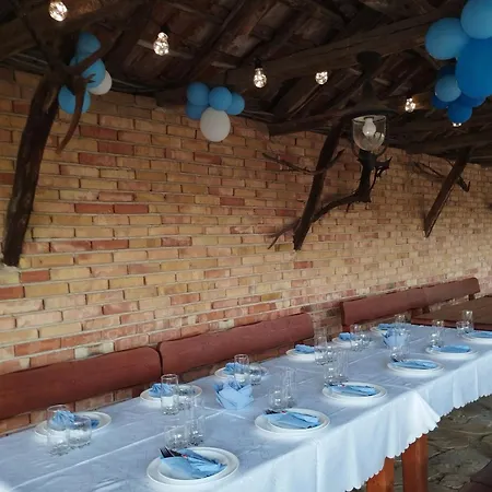 бор и шишарка Луксозна вила