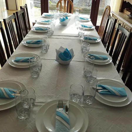 Villa бор и шишарка *