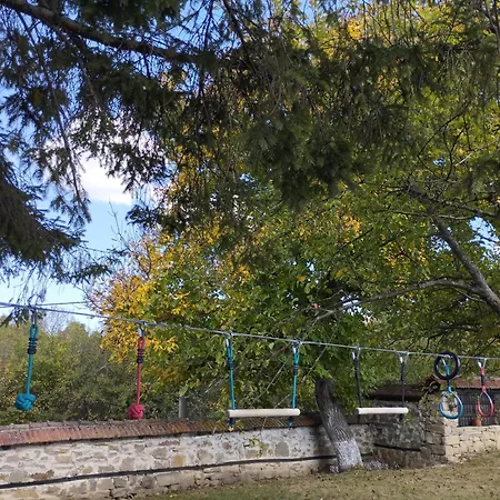 Луксозна вила бор и шишарка Varzilkovtsi