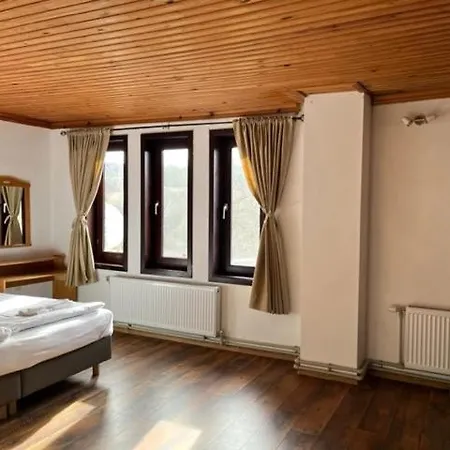 Villa бор и шишарка *