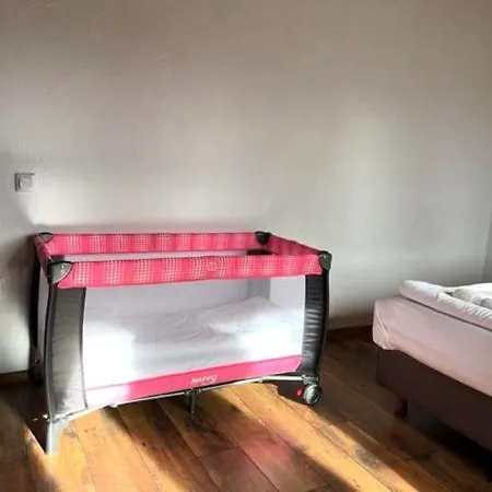 Villa бор и шишарка *