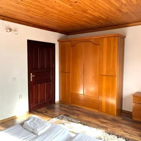 бор и шишарка *