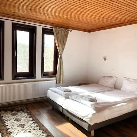 бор и шишарка Луксозна вила