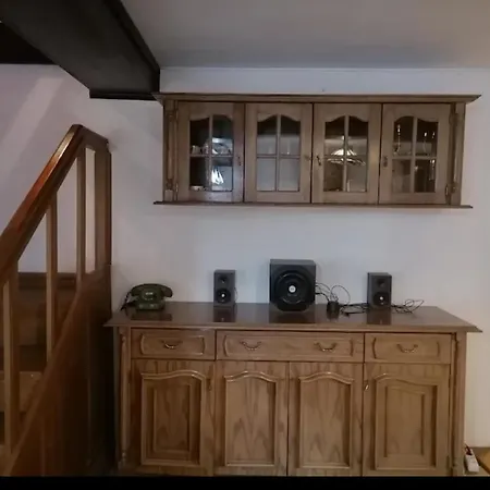 бор и шишарка *