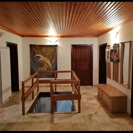 бор и шишарка Villa Varzilkovtsi