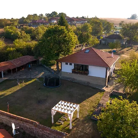 бор и шишарка Villa *