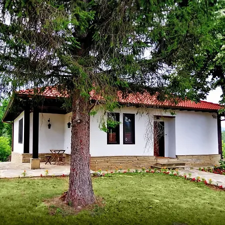 бор и шишарка * Varzilkovtsi