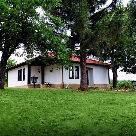 бор и шишарка Varzilkovtsi