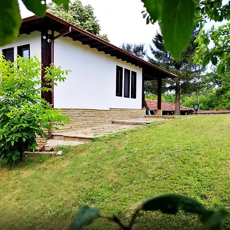 бор и шишарка