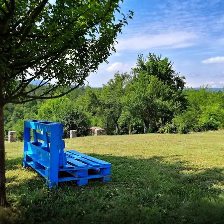 бор и шишарка Villa *