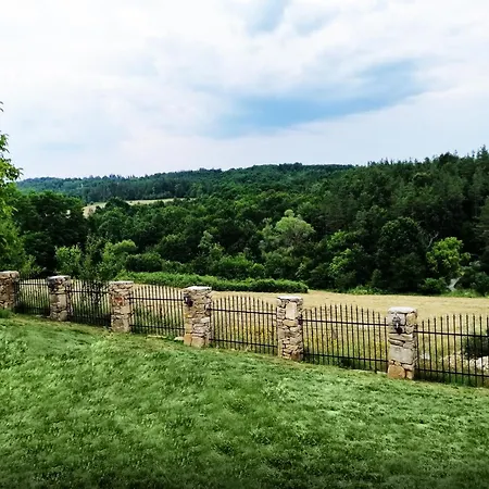 бор и шишарка * Varzilkovtsi