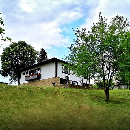 бор и шишарка