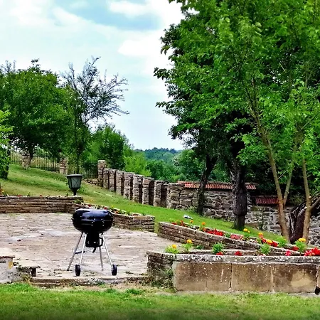 бор и шишарка Луксозна вила