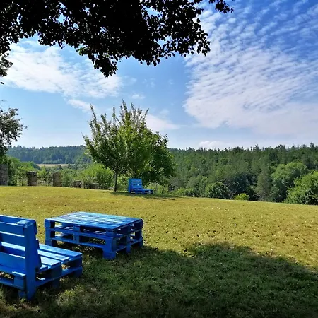 Villa бор и шишарка Varzilkovtsi