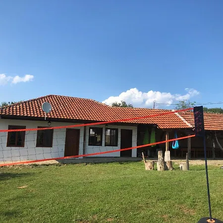 бор и шишарка *