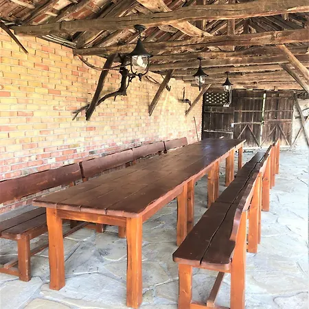 бор и шишарка Varzilkovtsi